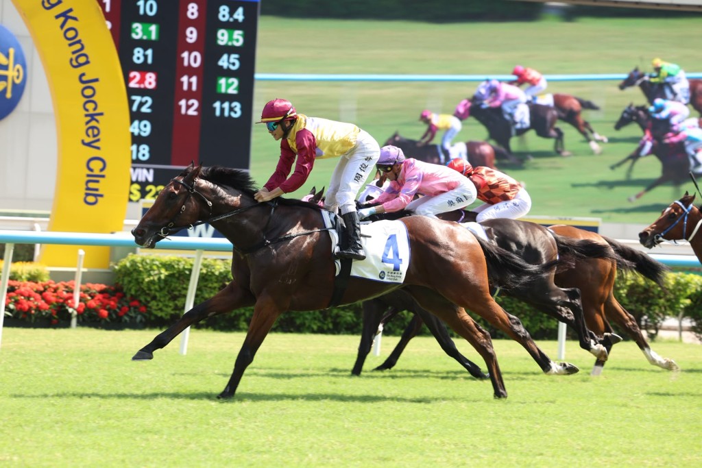 Trainer David Eustace may have found another ratings climber in Mighty Profit.