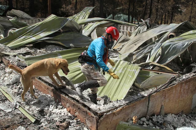 What is FEMA, US emergency agency under fire from Trump?