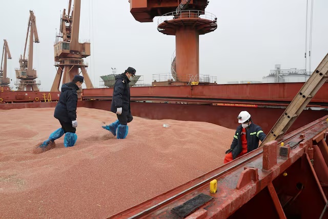 Customs officers inspect a shipment of sorghum from the U.S. on a cargo ship at the port in Nantong, Jiangsu province, China February 11, 2020. Picture taken February 11, 2020. China Daily via REUTERS