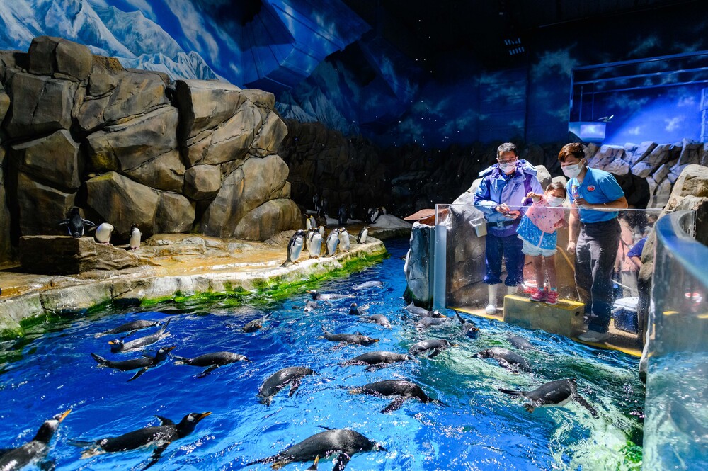 Income generated from the new retail, dining and entertainment zone would support Ocean Park’s conservation and education work. Income generated from the new retail, dining and entertainment zone would support Ocean Park’s conservation and education work.