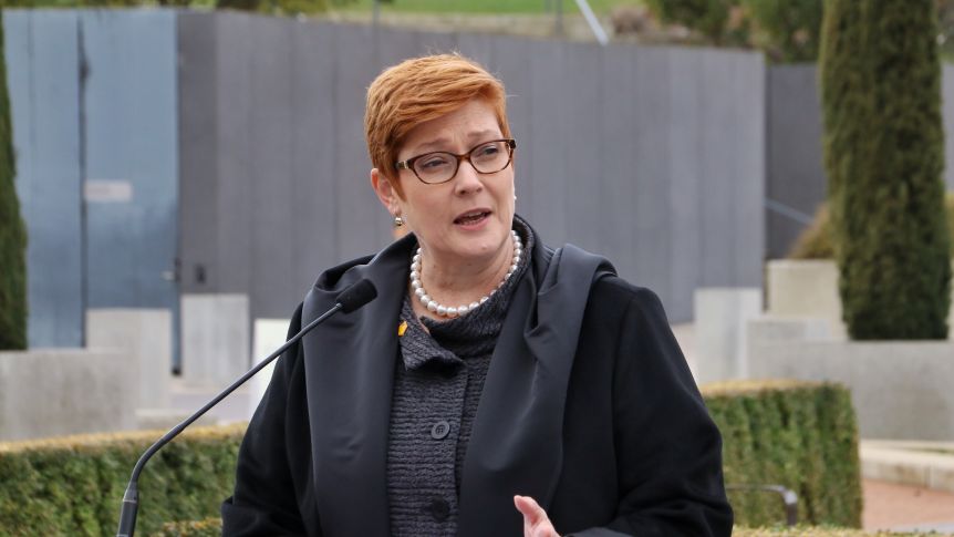 Australian Foreign Minister Marise Payne will have power to block any agreement between Australian states, councils or institutions and a foreign government, such as a controversial 2018 deal between the state of Victoria and China. Australian Foreign Minister Marise Payne will have power to block any agreement between Australian states, councils or institutions and a foreign government, such as a controversial 2018 deal between the state of Victoria and China.