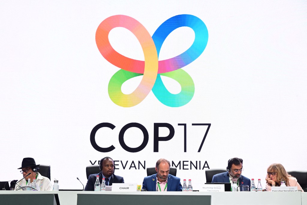 Gaute Hansen of Norway (C) chairs a plenary session at the 17th UN Biodiversity conference (COP 17) in Yerevan on October 30, 2026. (Photo by Karen MINASYAN / AFP)