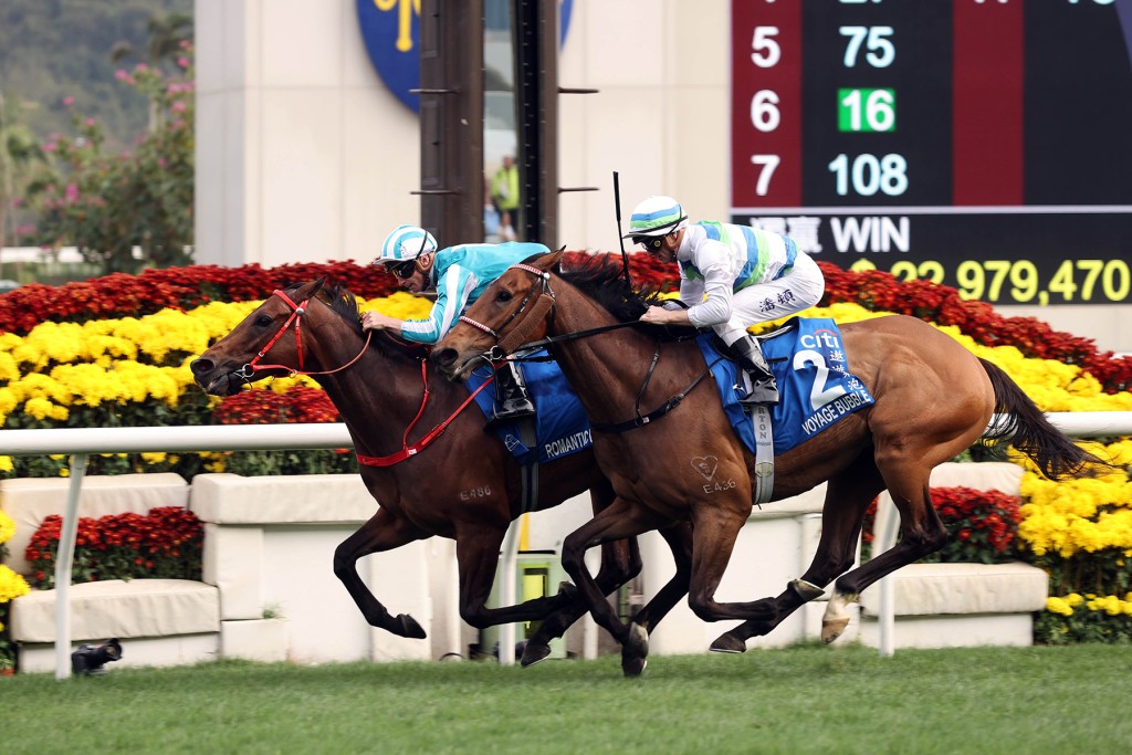 Romantic Warrior and Voyage Bubble meet again on Sunday at Sha Tin. HKJC