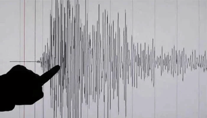 A representational image showing a Richter scale reading. — Reuters/File A representational image showing a Richter scale reading. — Reuters/File