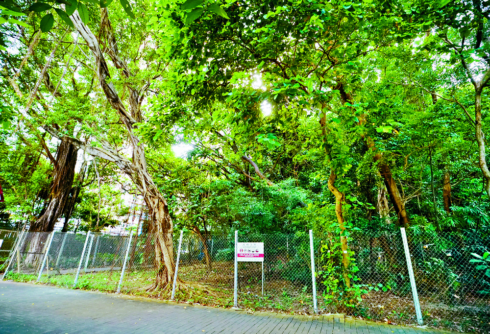 The site in Tai Wai. SING TAO The site in Tai Wai. SING TAO