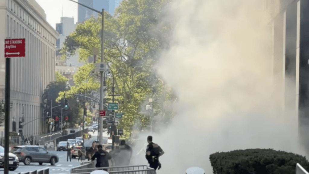 Screenshot from ABC News footage