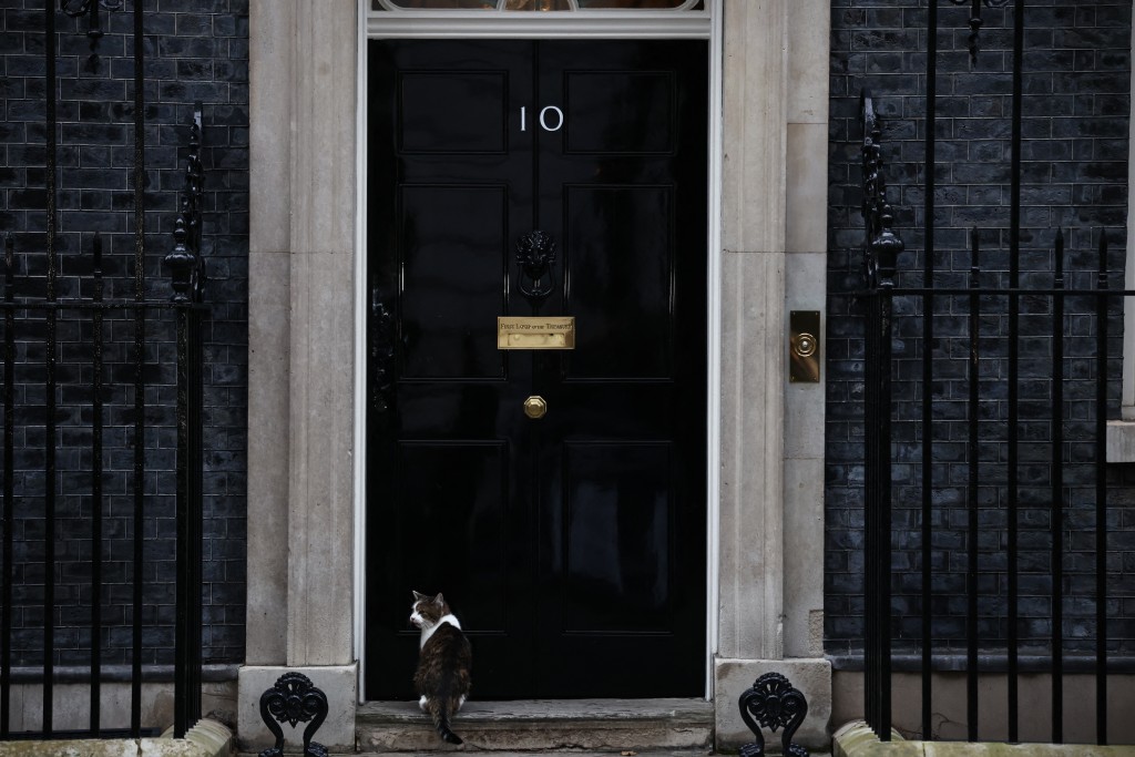 Photo by HENRY NICHOLLS / AFP  "Larry", the Downing Street cat waits at the door of 10 Downing Street, the official residence of Britain's Prime Minister, presently Labour party leader Keir Starmer, in central London on February 9, 2026.