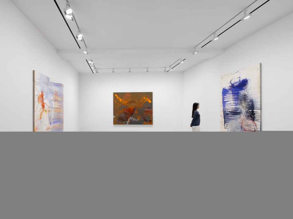 Exhibition view of Among My Swan at David Zwirner