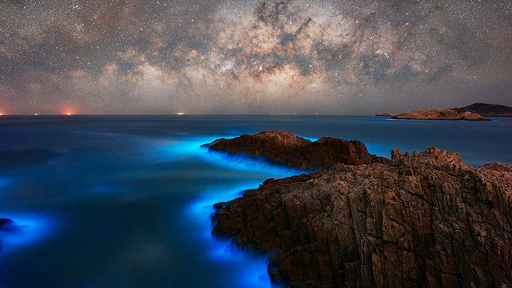 In recent years, waters in Sai Kung, Repulse Bay, and Deep Water Bay have been lit up by the bioluminescent algae. (Photo by York Tam) In recent years, waters in Sai Kung, Repulse Bay, and Deep Water Bay have been lit up by the bioluminescent algae. (Photo by York Tam)