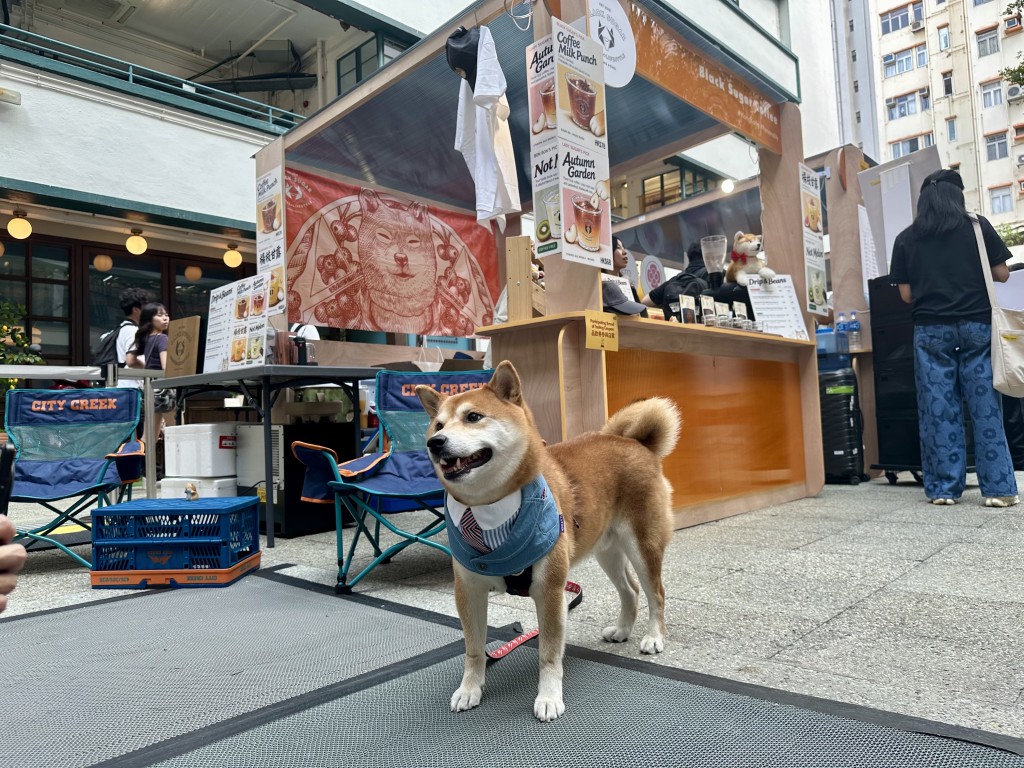 Black Sugar Coffee’s offerings are inspired by their four cute Shiba Inus.