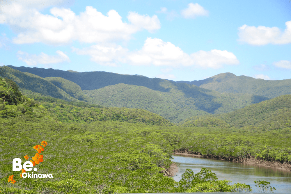 Iriomote Island