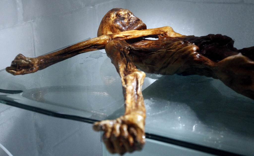 Photo by ANDREA SOLERO / AFP  The mummy of an iceman named Otzi, discovered on 1991 in the Italian Schnal Valley glacier, is displayed at the Archaeological Museum of Bolzano on February 28, 2011 during an official presentation of the reconstrution.