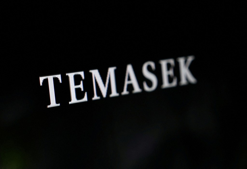 Temasek logo is seen in this illustration taken November 30, 2022. REUTERS/Dado Ruvic/Illustration
