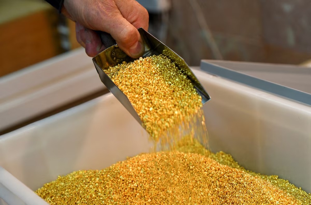 An employee takes granules of 99.99 percent pure gold in a workroom at the Novosibirsk precious metals refining and manufacturing plant in the Siberian city of Novosibirsk, Russia, September 15, 2023. REUTERS An employee takes granules of 99.99 percent pure gold in a workroom at the Novosibirsk precious metals refining and manufacturing plant in the Siberian city of Novosibirsk, Russia, September 15, 2023. REUTERS
