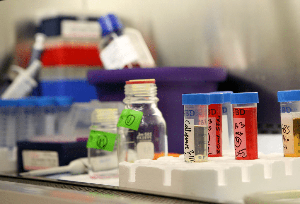 Vials of extra-embryonic stem cells are pictured at the Eli and Edythe Broad Center of Regeneration Medicine and Stem Cell Research at the University of California San Francisco in San Francisco March 10, 2009. REUTERS/Robert Galbraith