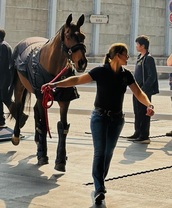 The Arena performances will feature world-class equestrian competition with outstanding international and local horse and rider combinations from 11 regions.