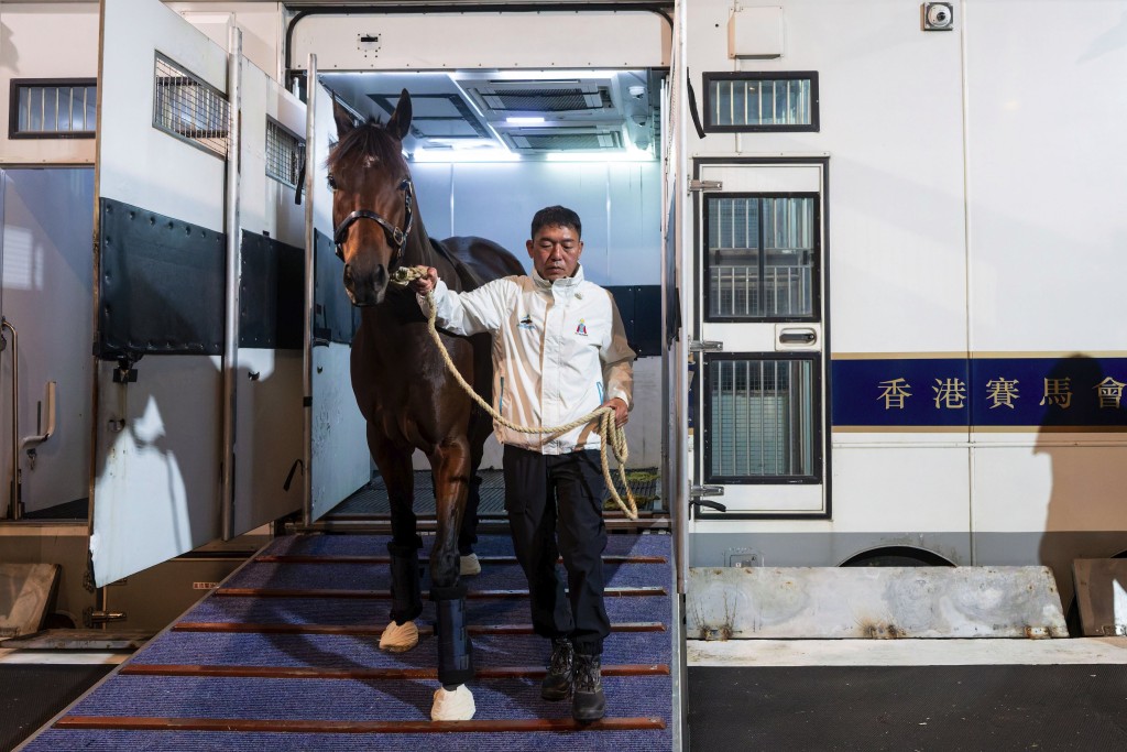 Ka Ying Rising arrives in Sydney, Australia. HKJC