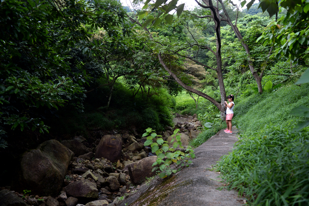 Reviewing green belt sites and coming up with new guidelines on wetlands are among the housing suggestions made by SHKP. Reviewing green belt sites and coming up with new guidelines on wetlands are among the housing suggestions made by SHKP.