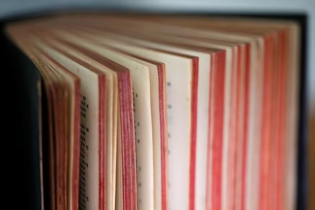 REUTERS/Regis Duvignau 