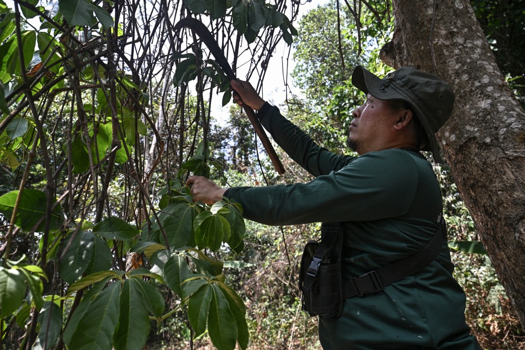 Photo by LILLIAN SUWANRUMPHA / AFP / This photo taken on March 16, 2026 shows Hmong volunteer firefighter Mongkol Yingyotmongkolsaen clearing a firebreak in the Doi Suthep-Pui National Park area of Chiang Mai.