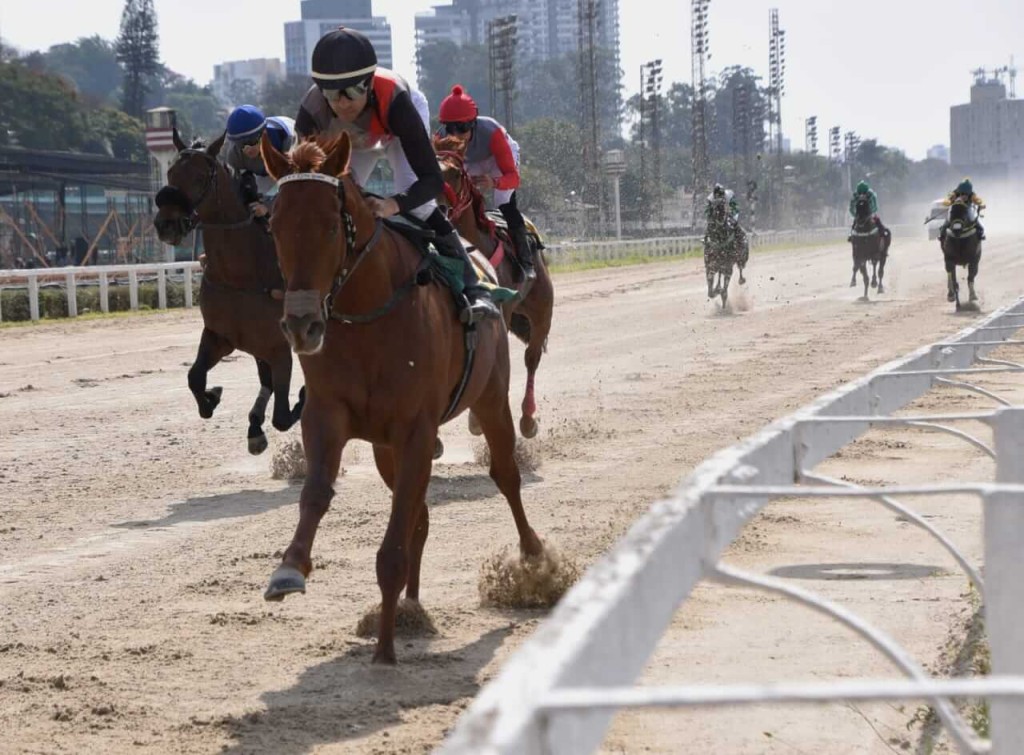 Joao Moreira guides Tryion to victory in the Listed Classico Presidente Julio Mesquita at Cidade Jardim (Firo Menezes)