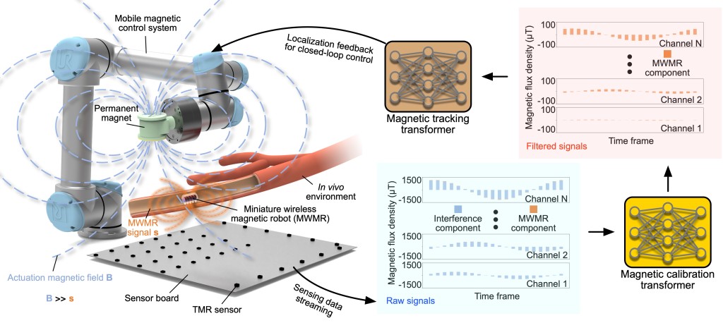 The innovation enables real-time localization and closed-loop navigation of millimeter-scale wireless magnetic robots during magnetic actuation. (CUHK)