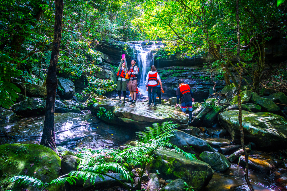Trekking on Iriomote Island
