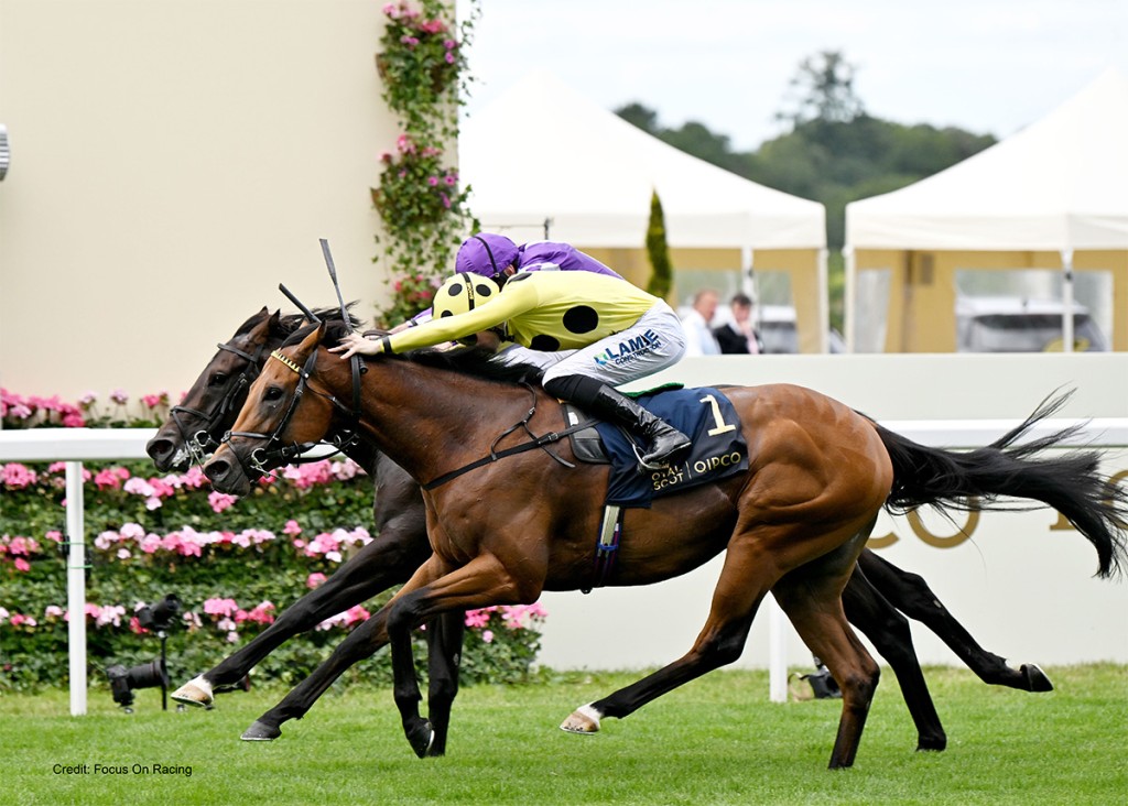 Bow Echo (outside) and Gstaad (inside) have been one of the rivalries of the season. Photo: HKJC