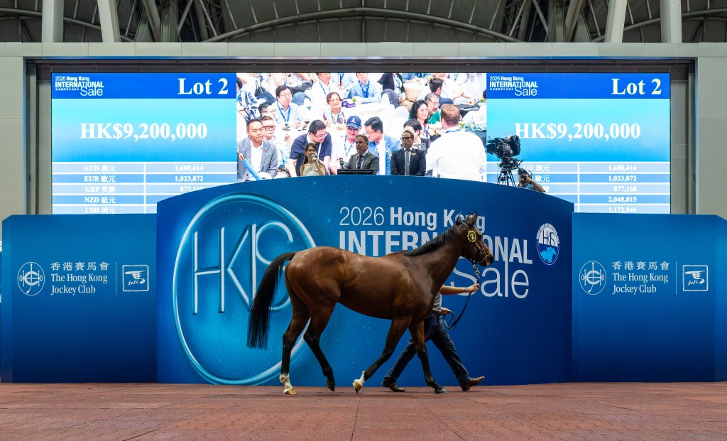 The sales-topping Lot 2 by Deep Field parades for potential buyers before being knocked-down for HK$9.2. HKJC