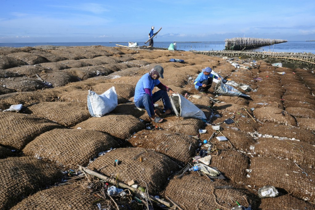 Photo by TED ALJIBE / AFP  In this photo taken on October 13, 2026, workers remove trash on coconut-fibre bags filled with oyster shells on a breakwater at Pamarawan Island in Malolos City, Bulacan province.