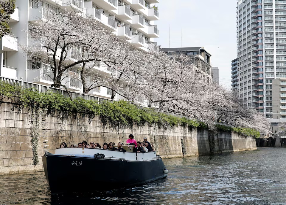 A cruise boat sails past blooming cherry blossoms along Meguro River in Tokyo, Japan, March 30, 2026. REUTERS/Kim Kyung-Hoon
