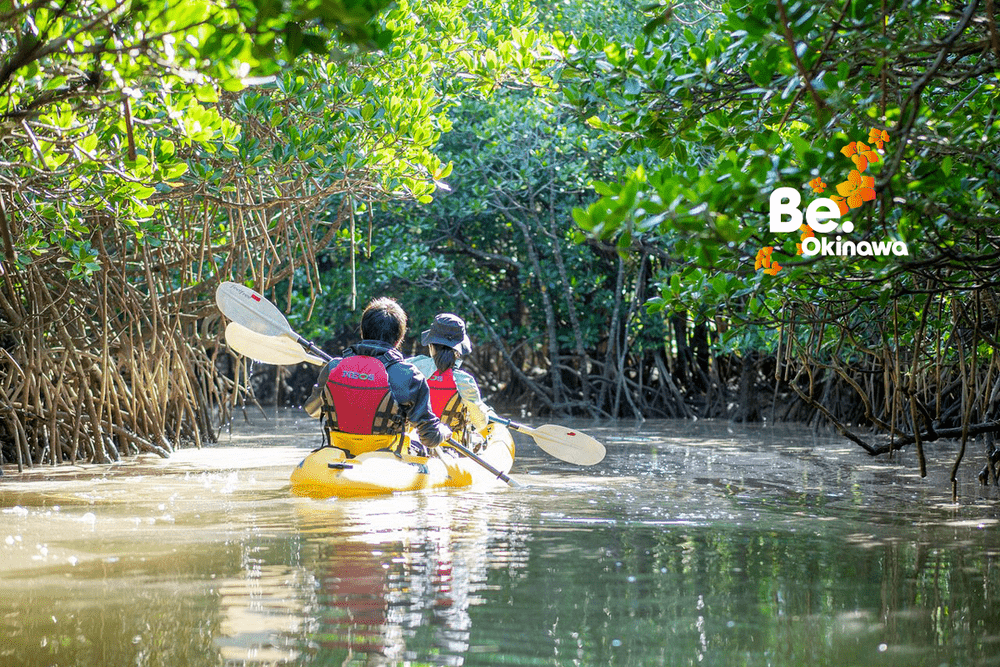 Kayaking on Iriomote Island
