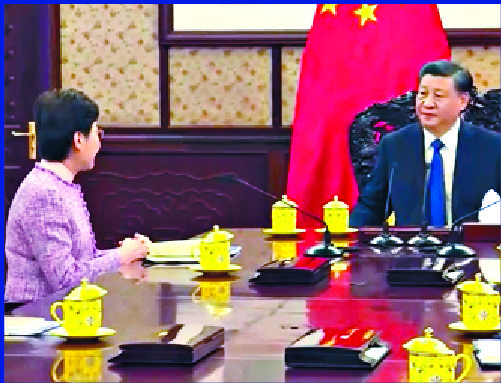 Carrie Lam reports the latest updates on Hong Kong to Xi Jinping. Carrie Lam reports the latest updates on Hong Kong to Xi Jinping.