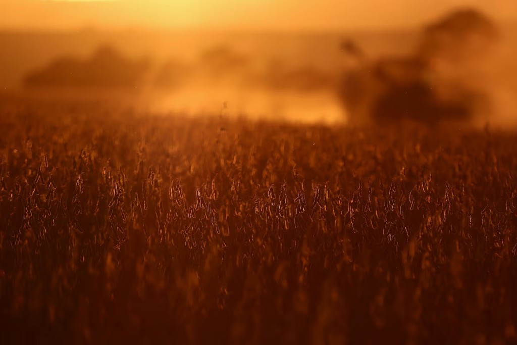 A farm worker operates a combine harvester during the soybean harvest season in Brazil's southernmost state, on a farm in Nao Me Toque, Rio Grande do Sul state, Brazil, April 4, 2025. REUTERS