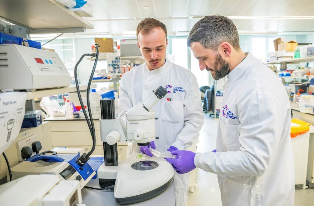 Research scientists Ed Roberts and Baptiste Brauge work in one of the labs at the Cancer Research UK's institute in Bearsden, Glasgow, Scotland, Britain, April 9, 2025. REUTERS/Lesley Martin