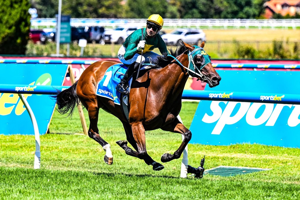 Sheza Alibi. (Photo credit: Racing Victoria)