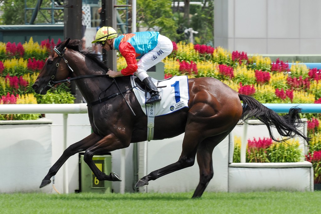 Ka Ying Rising is officially rated the world's best racehorse.