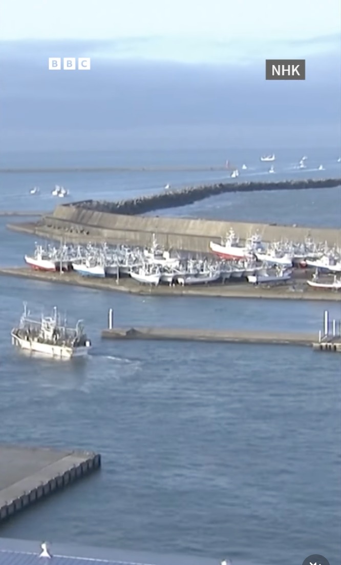 Screenshot from NHK/BBC footage