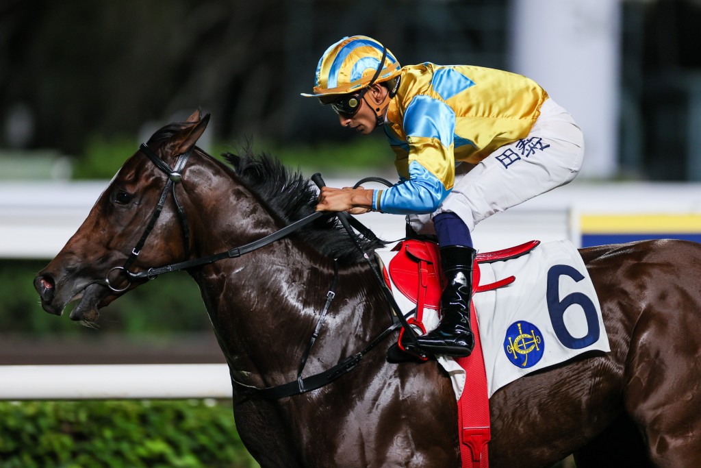 Mr Incredible. Sha Tin. HKJC