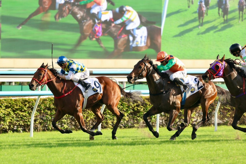 Patch Of Stars continues his charge through the grades, benefitting from a drop back to 1,200m SING TAO