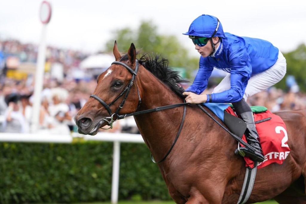 DESERT CASTLE, BILLY LOUGHNANE / G2 Champagne Stakes // Doncaster /// 2026 //// Photo by Godolphin