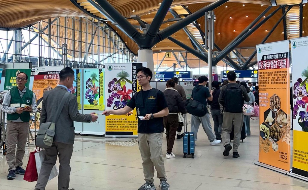 FB/HK Customs FB/HK Customs