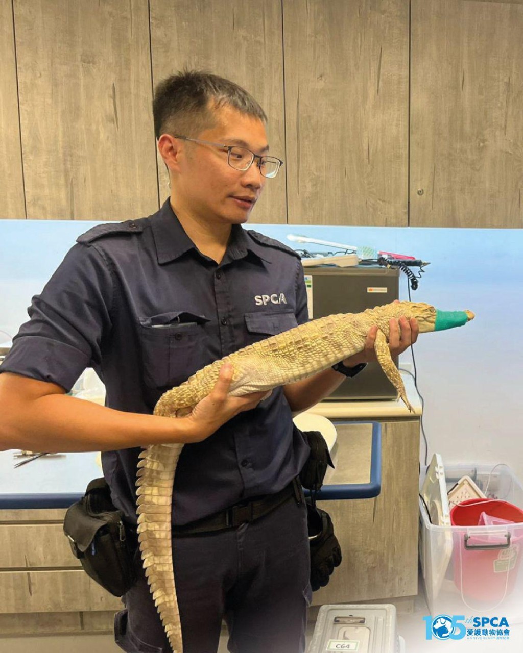Source: SPCA