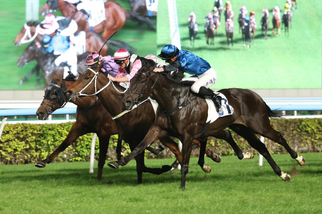 Dazzling Fit (right) shows his fighting qualities by overcoming Beauty Bolt in a tight 1,600m Class 3 on Sunday at Sha tin