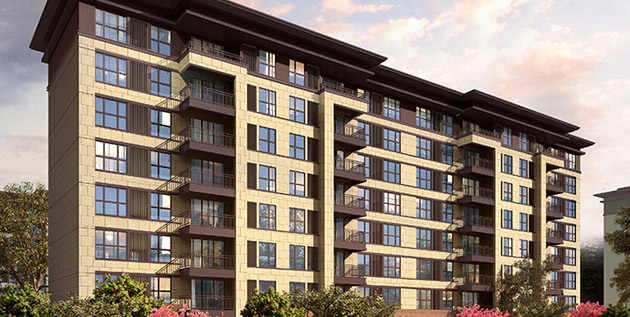 Project handler focused on Henan