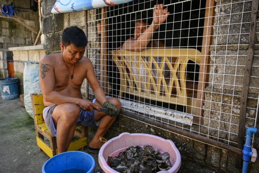 Photo by TED ALJIBE / AFP  In this photo taken on October 13, 2026, a resident removes oyster meat from shells alongside his wife at Pamarawan Island in Malolos City, Bulacan province.