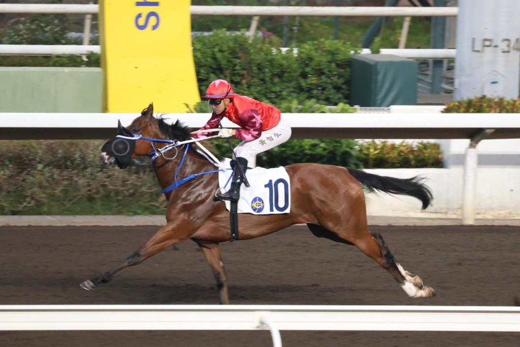 Ellis Wong does well to stay aboard and guide Vermilion Tempest to safety. Singtao