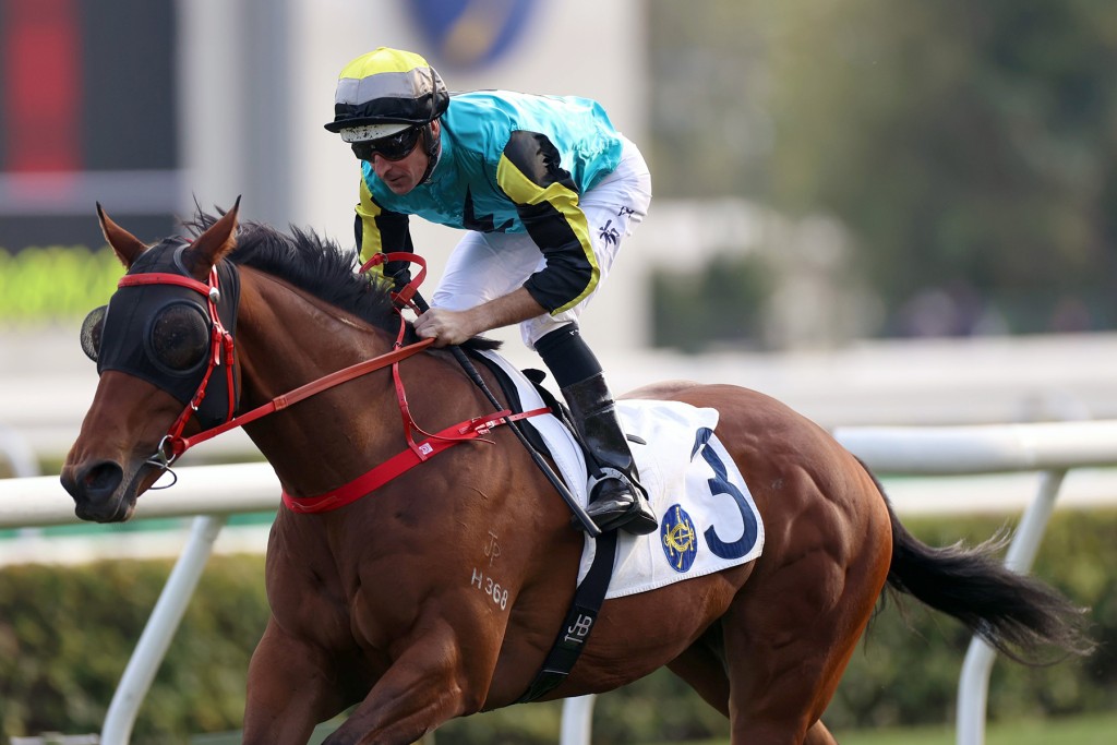Raging Blizzard is chasing his third win of the season and should be suited by a switch to Happy Valley (HKJC) 