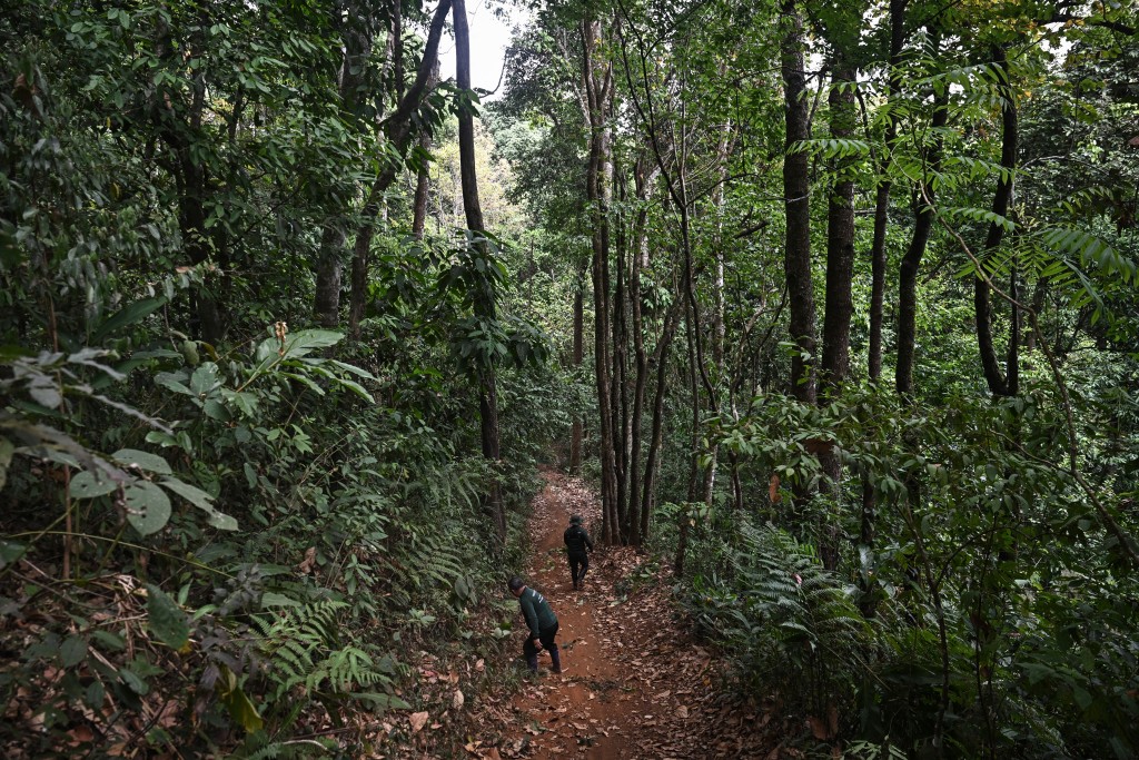 Photo by LILLIAN SUWANRUMPHA / AFP  This photo taken on March 16, 2026 shows volunteer firefighters from Hmong Doi Pui village clearing a firebreak in the Doi Suthep-Pui National Park area of Chiang Mai.
