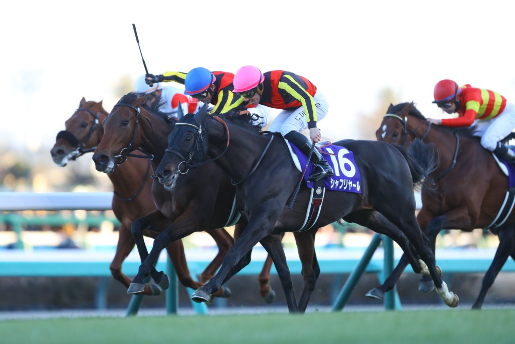 Regaleira (left) beats Shahryar in last year's G1 Arima Kinen at Nakayama.  She is gunning for back-to-back wins on Sunday. Shuhei Okada/idol Horse.